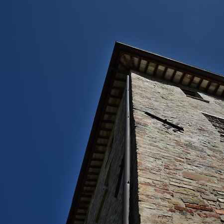 פרוג'ה Agriturismo Il Poggio Degli Scoiattoli מראה חיצוני תמונה