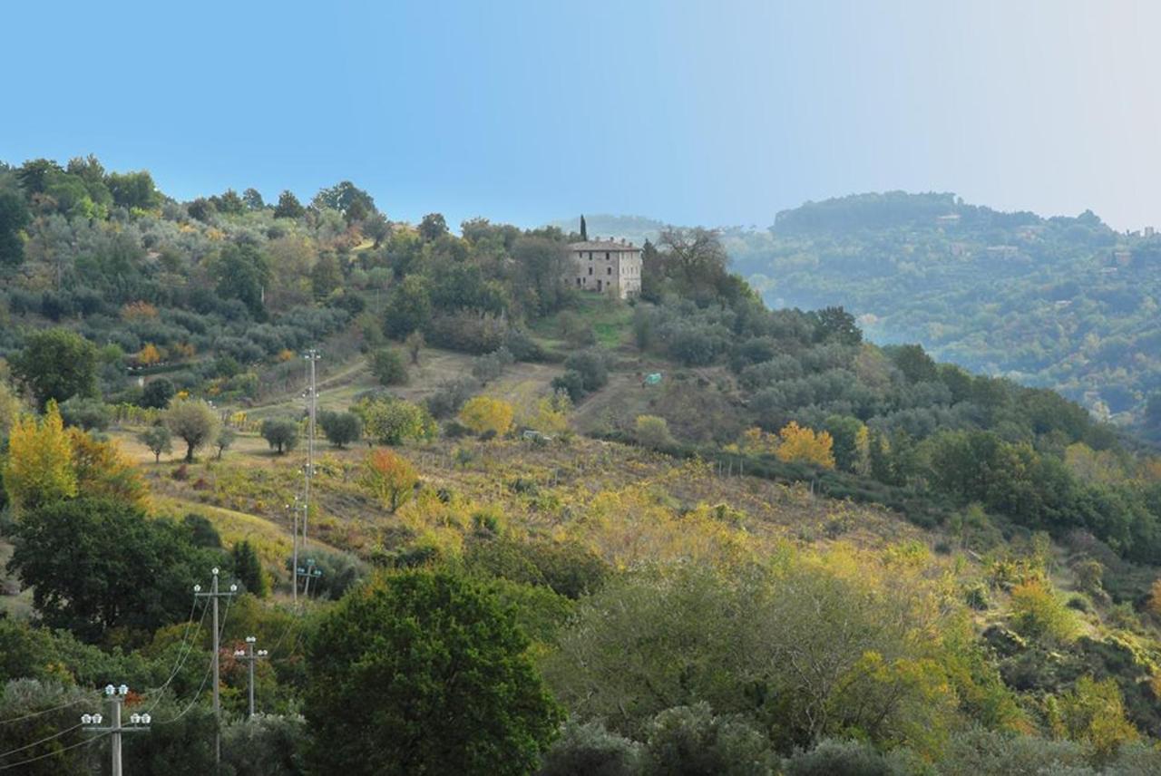 פרוג'ה Agriturismo Il Poggio Degli Scoiattoli מראה חיצוני תמונה