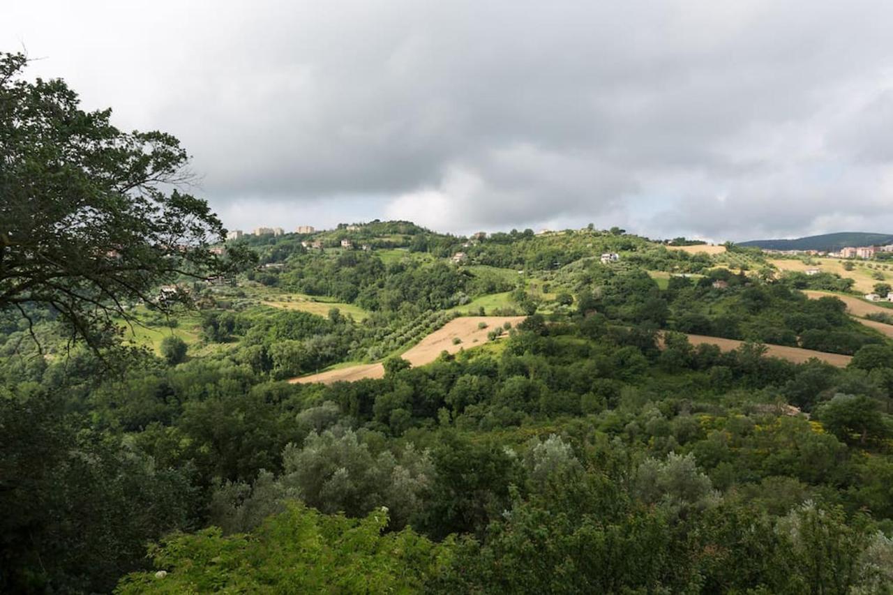 פרוג'ה Agriturismo Il Poggio Degli Scoiattoli מראה חיצוני תמונה