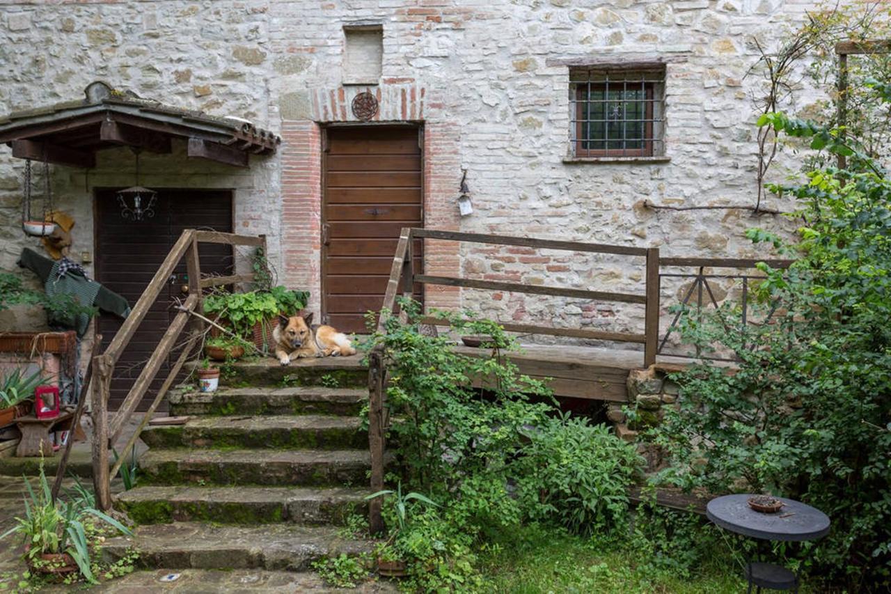פרוג'ה Agriturismo Il Poggio Degli Scoiattoli מראה חיצוני תמונה